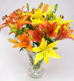 Lilies and Tulips delivered nationwide