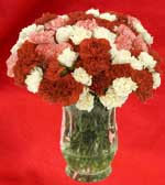 delivered carnations