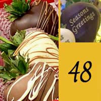 Seasons Greetings 4 Dozen Drizzle Chocolate Covered Strawberry Gift set