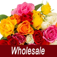 Wholesale Bulk Assorted Roses
