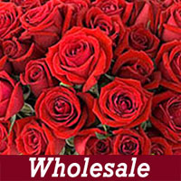 Wholesale Valentines Red Roses