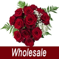 Valentines Wholesale Roses in Sleeves