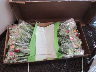 How the roses arrive, well packed