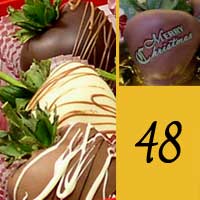 Merry Christmas 4 Dozen Chocolate Covered Strawberry Gift set