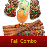 fall chocolate covered strawberry combo