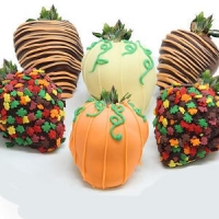 Decorated Thanksgiving fall chocolate covered strawberries
