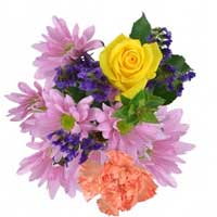 puple recital bouquets with daisies and statice delivered