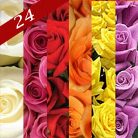 Two dozen Roses for delivery, red, yellow, pink, orange,white
