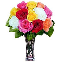 One dozen Multicolored Roses for delivery