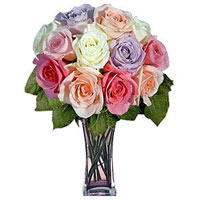 One dozen Pastel Roses for delivery