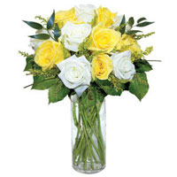 One dozen Yellow and White Roses for delivery