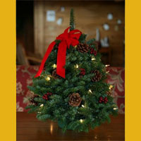 lighted 18 inch christmas tree for delivery